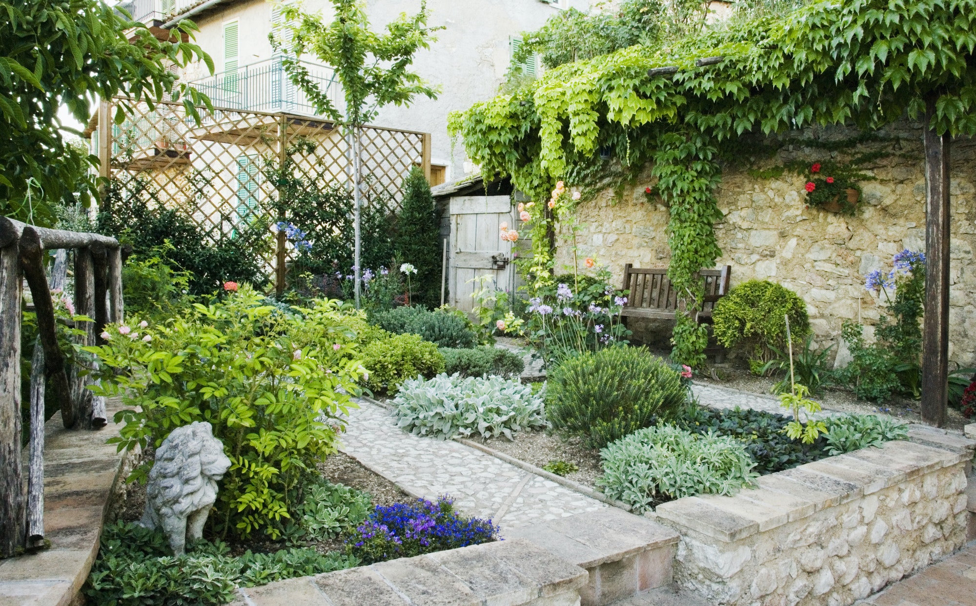 backyard-garden.jpg backyard-garden.jpg